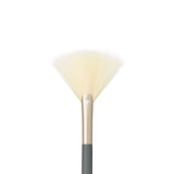 Fan Brush