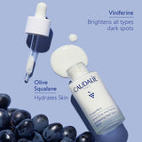 Vinoperfect Brightening Dark Spot Serum Vitamin C Alternative