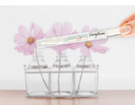 Cherry Blossom Cuticle Oil Pen